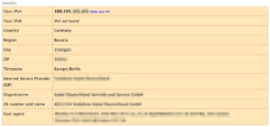 Public IP address and additional extracted meta data.